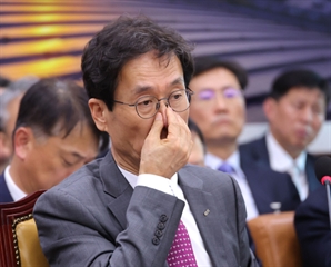 "도로 청소해달라" 李대통령 발언 국감서 재소환…무슨 일?