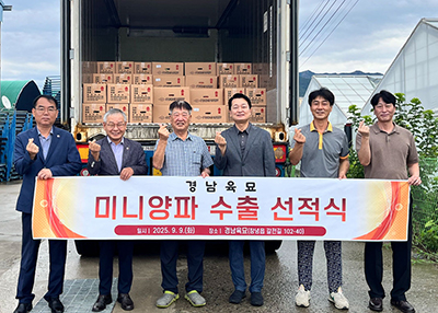 日 입맛 잡은 ‘창녕 미니양파’ 4t 선적