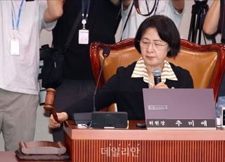 오전엔 '김현지' 오후엔 '추미애'…법사위 여야 전면 대치