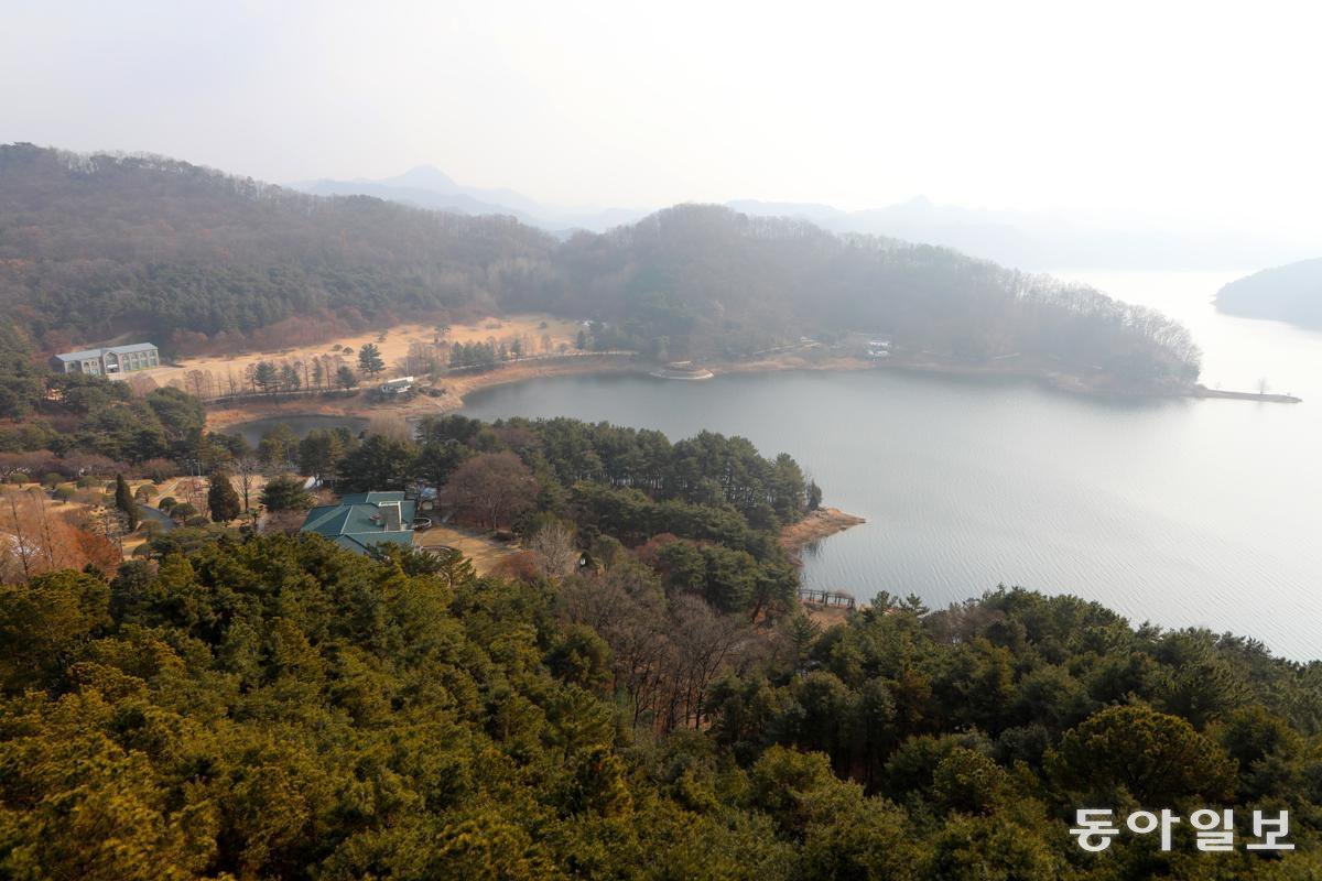 청주 청남대 봉황의 숲 전망대에서 내려다본 대청호반. 뭍에서 뻗어 나온 언덕들이 섬 같다.