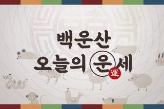 백운산 운세