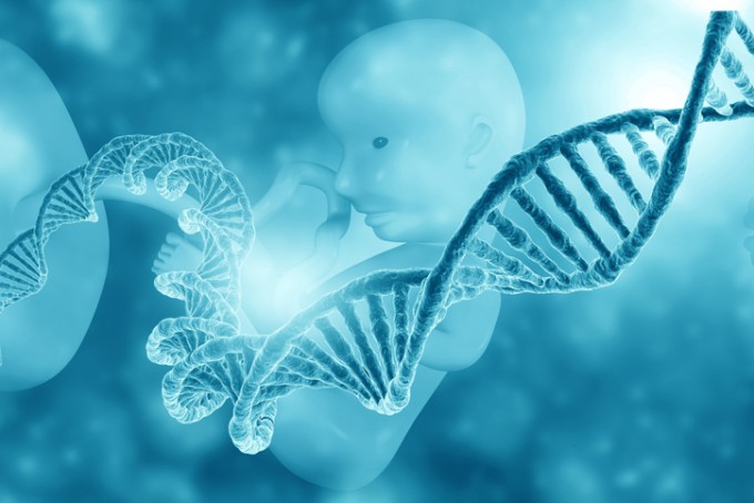 DNA 컴퓨터는 전자회로 대신 유전물질인 디옥시리보핵산(DNA)과 다양한 생체분자 메커니즘을 활용해 연산을 수행하는 장치다. 게티이미지뱅크 제공