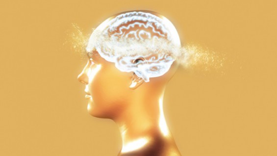 알츠하이머 혈액 검사법 美 FDA 두 번째 승인