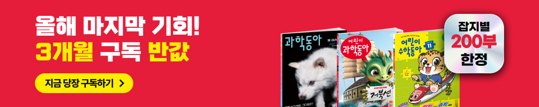 커머스/10월 반값