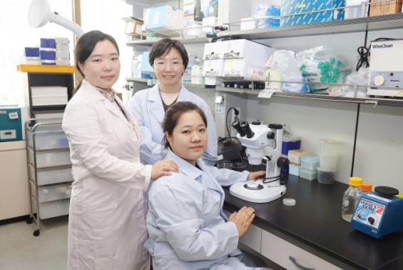 엄마가 먹은 미세플라스틱, 모유로 전달…아이 면역력 약화
