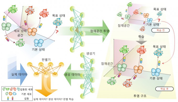 연구 결과를 설명하는 모식도. 조광현 교수 연구팀은 이미지 생성 분야에서 잠재공간의 방향 벡터가 의미 있는 변화를 설명할 수 있다는 점에 주목하고, 세포 상태 간의 전이를 유사한 방식으로 모델링하였다. 현재의 세포 상태에서 원하는 목표 상태로 향하는 방향을 정의하고, 해당 방향으로 유도할 수 있는 약물이나 유전자 타겟을 예측하는 새로운 AI 프레임워크를 개발했다. KAIST 제공