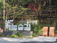  도심 속 '하늘 산책로' 열린다…남산 하늘숲길 25일 개통