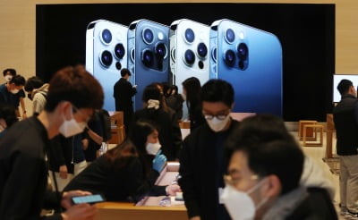 잘나가는 아이폰, 생산 30% 더 늘린다…삼성D·LGD '방긋'