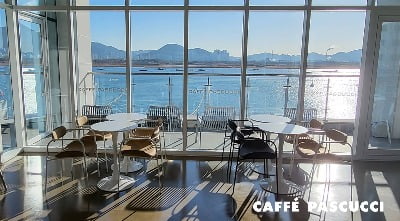 통창 오션뷰에 야외테라스까지…파스쿠찌, 부산에 300석 대형 매장
