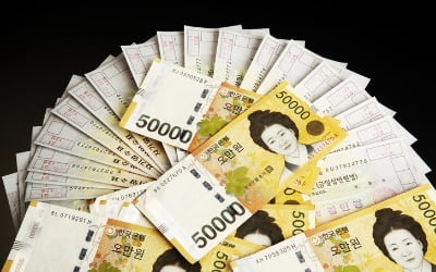 "경찰도 한통속"…수백억원대 도박사이트 운영 조직 '재판행'