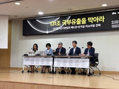 131조 국부유출 막자…"원화 스테이블코인·파생상품 제도화 시급"