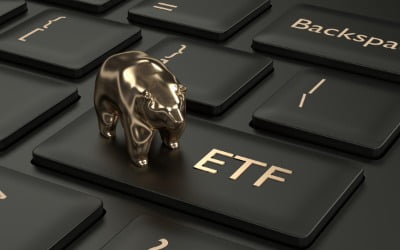 글로벌 액티브 ETF 773% 폭풍 성장…한국은 채권 쏠림 여전