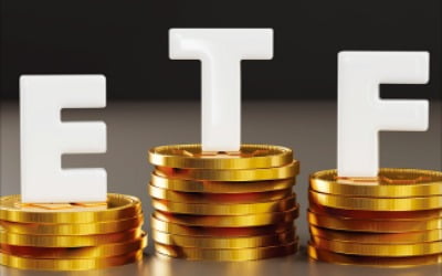 개미, 레버리지 팔고 파킹·美 ETF로 갈아탔다