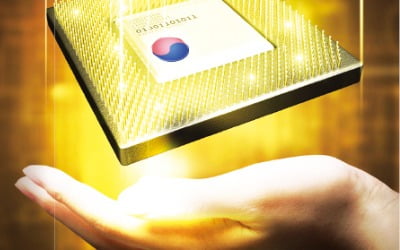 반도체 투톱 쓸어담는 外人에…코스피 '파죽지세'