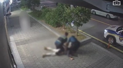 '폭행 신고했다가'…경찰과 말다툼 벌인 시민, 갈비뼈 5개 골절