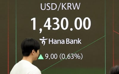 환율 1430원 넘자…외환당국 "시장 쏠림 경계" 공식 구두개입