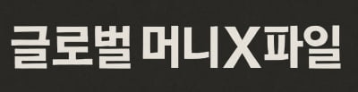 "이러다 시한폭탄 터질 수도"…IMF의 '섬뜩한 경고'
