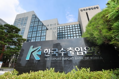 "수출입은행, 불공정 기업도 '히든챔피언' 선정해 금융지원"