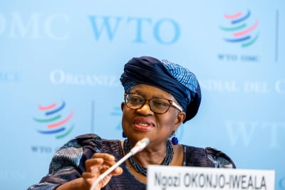 WTO, 내년 세계무역량 증가율 1.8%→0.5%로 대폭 하향