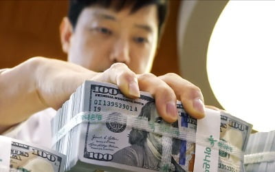 경제체력 약화에 통상리스크까지…"1400원대가 환율 새 기준점"