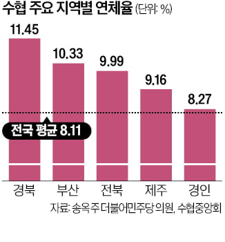 [단독] 경북 11%·부산 10%…수협 연체율 '빨간불'
