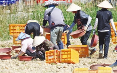현장선 "외국인 모자라" 아우성…고용 신청은 반토막