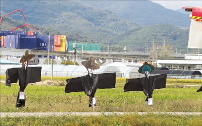 가을 들녘에 들어선 허수아비