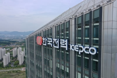 “역시 신의 직장” 한전 ‘회전문 인사’ 논란