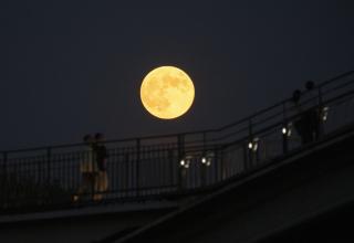 배부른 달, 배부른 여자, 배부른 희망